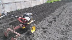 Посадка картофеля мотоблоком. Как сажать картошку мотоблоком