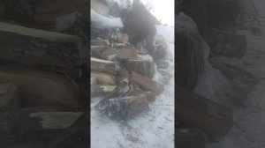 рублю дрова зимой часть 2
