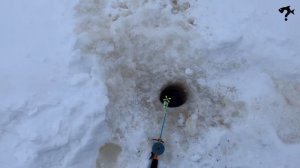 Рыбители. Выпуск-2. Морья. 22 февраля.