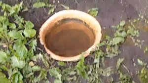 9 мая 2016 год