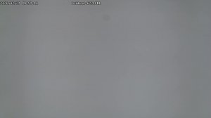 LIVE: channel43489494