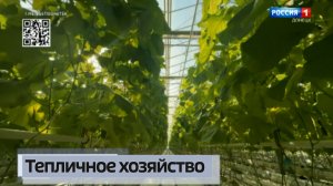 Тепличное хозяйство в Зугрэсе выходит из зимнего периода