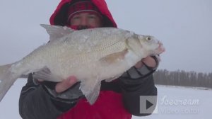 зимняя рыбалка на комбайны-спускники.удачный улов!!!