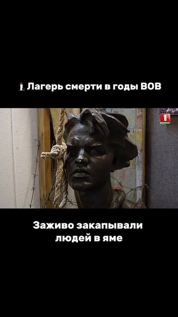 Истории, проникающие в самое сердце❤️ #факторбай #факторбеларусь #факторby #Факторбай #беларусь1