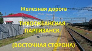 Железная дорога Тихоокеанская - Находка - Партизанск (вид из окна поезда, восточная сторона) (ДВЖД)