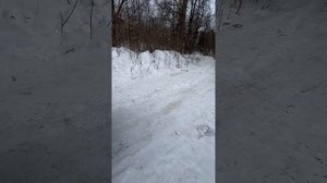 Идеальная Октавиа 1.8