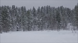 Мурманск. Зимние забавы. Февраль 2026г.