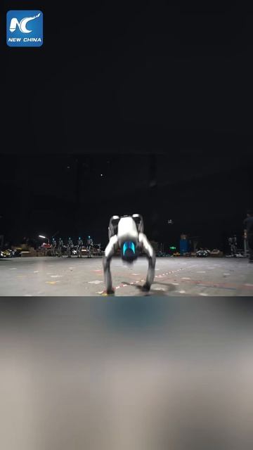 Unitree robots  Роботы крутят сальто