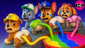 Щенячий патруль и Маршалл. Залипательное видео. Мультфильм для детей и малышей. Анимация 312