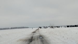 ЕЗДИЛА ГАДАТЬ 26.02.26.