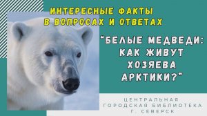 Видеопрезентация «Белые медведи: как живут хозяева Арктики» (6+)