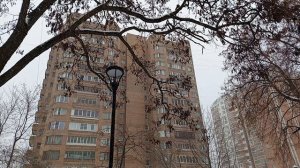 Красивый снежный период конца зимы. Москва 27.02.2026