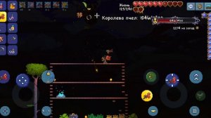 побеждаю королеву пчёл/ #Террария#Min#den24k#жура#весьмир