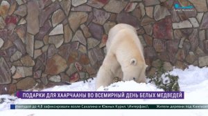 Подарки для Харчааны во Всемирный день белых медведей