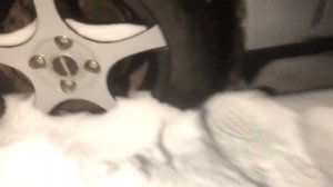 Мопеды сериал | Серия 1776