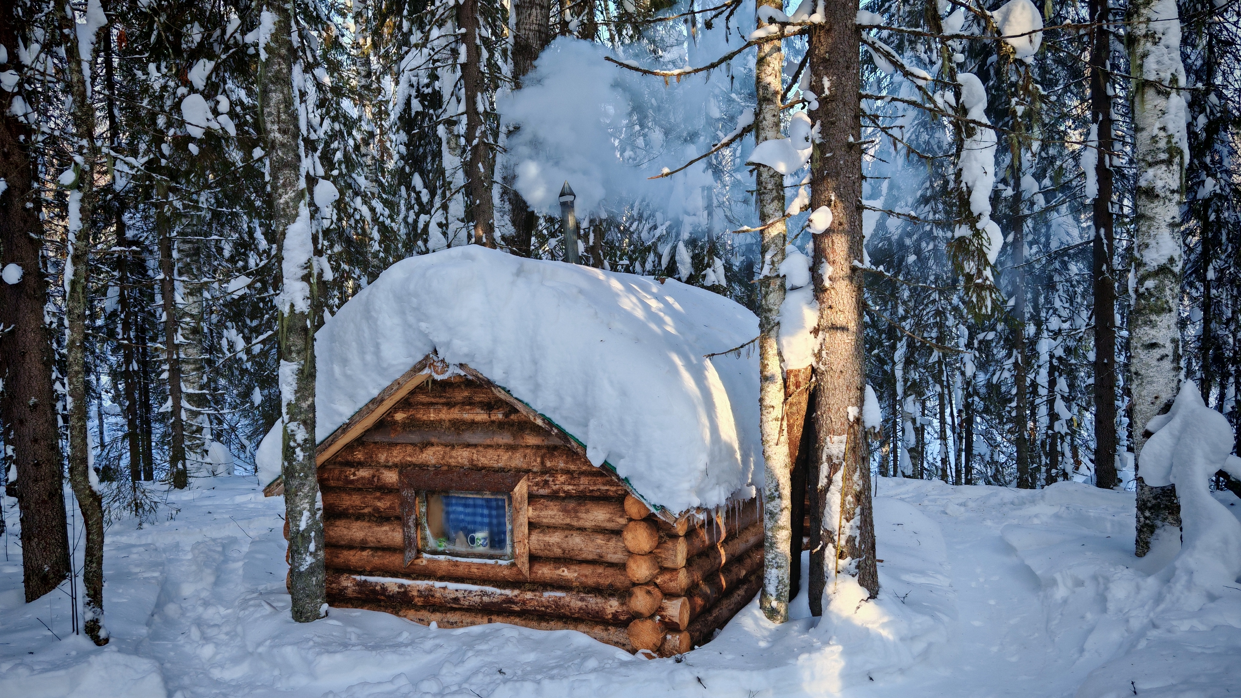 ИЗБУ ЗАМЕЛО! ТАЁЖНЫЕ БУДНИ, ЗРЯ Я ЕЁ ВЗЯЛ! смотреть онлайн