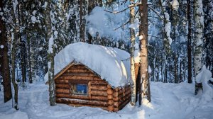 ИЗБУ ЗАМЕЛО! ТАЁЖНЫЕ БУДНИ, ЗРЯ Я ЕЁ ВЗЯЛ!