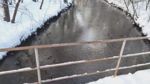 Жители реки Яуза в сказочной, зимней Леоновской роще (Ботанический сад)