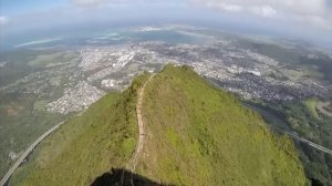Хавали в Горнолухе. Собаки 🐶 в масках акул 🦈 и Клетка для созяев в собачьем питомнике