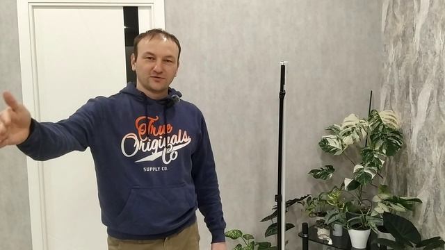 Обзор растений и новой лампы. Первое видео 2026 года.