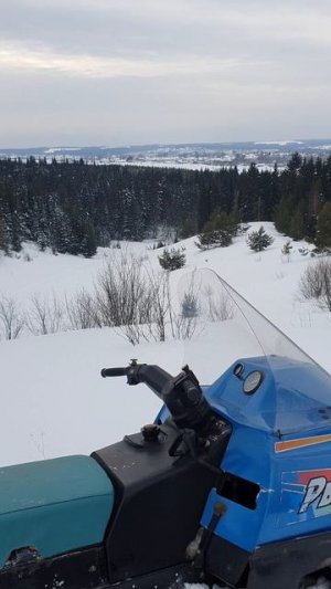 Рысь 500+