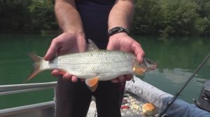 Скобаљ на пловак - Вишеград EП208 26092023