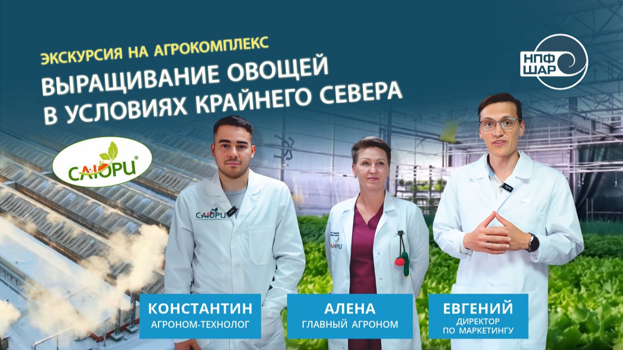 Выращивание овощей в условиях Крайнего Севера под пленкой СВЕТЛИЦА™|Экскурсия на агрокомплекс САЮРИ