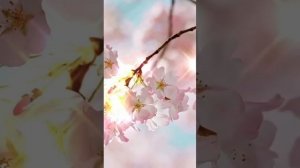 Здесь и сейчас