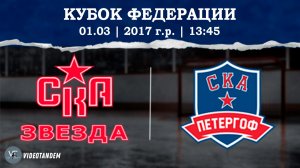 СКА Звезда 17 - СКА Петергоф 17 / 01.03.2026