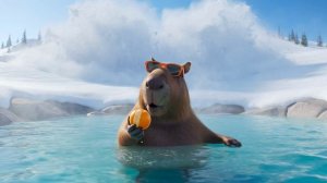 Капи-Бро: Снежный Дзен 🧘♂️❄️🍊