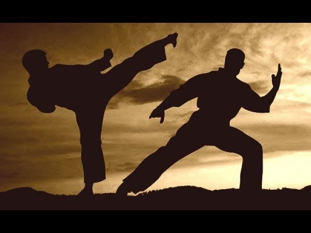 Боевые искусства. Знакомство с мастером