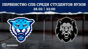 Кронверкские Барсы - Невские Львы / 28.02.2026