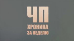 Срок за поджог, нарядный вор и чаты-ловушки в программе «ЧП.Хроника за неделю»
