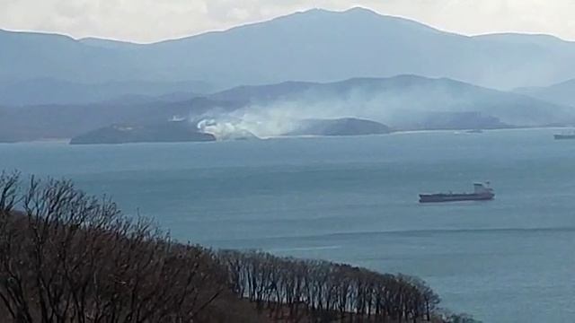 Залив Находка 7апр2022г.