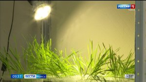 Вести-Томск, выпуск от 27.02.2026 09:30