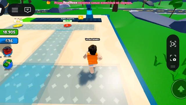 я создал домв Roblox