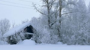 ОНА ЖИВЕТ ОДНА В ЗАСНЕЖЕННОЙ ДЕРЕВНЕ. СКРОМНАЯ ДЕРЕВЕНСКАЯ ЖИЗНЬ, РЫБАЛКА, ПРИРОДА, МАСЛЕНИЦА.