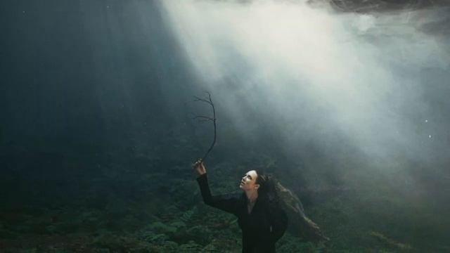 Allie X - Learning In Public (Audio) смотреть онлайн