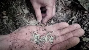 Рыбалка / Крупная рыба / Примитивная техника / Рыбалка самым примитивным способом