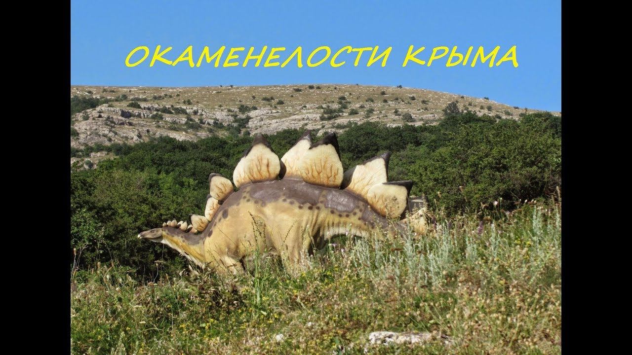 Окаменелости Крыма