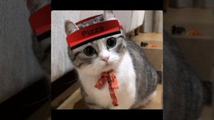 Мини плейлист ПЛМ