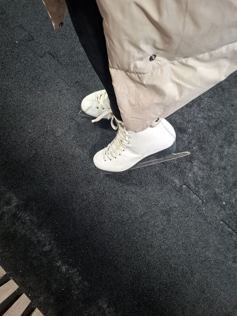 Воробьевы горы