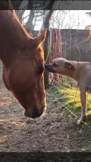 Всем порой нужны обнимашки.