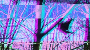 Glitch Bird (single)