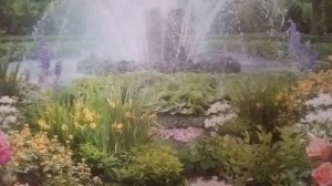 Завтрак...Фотообои в  комнате,улучшает вид!