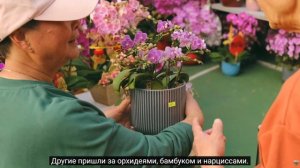 китайский новый год в Гонконге