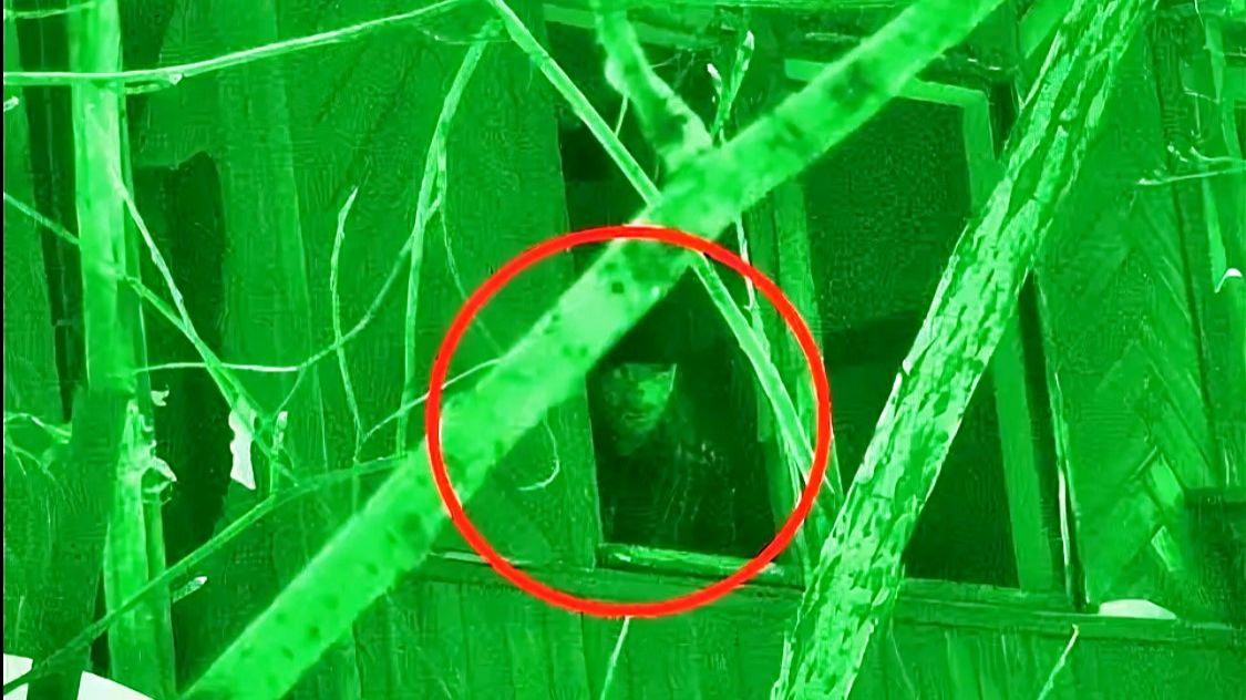 Дом МУТАНТОВ. Что там сейчас.