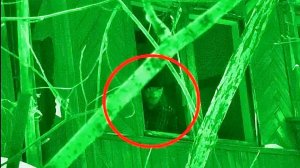 Дом МУТАНТОВ. Что там сейчас.