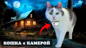 РЕАЛЬНЫЙ ДЕНЬ КОШКИ! 24 ЧАСА МУРКА ГУЛЯЕТ С КАМЕРОЙ ЧЕЛЛЕНДЖ