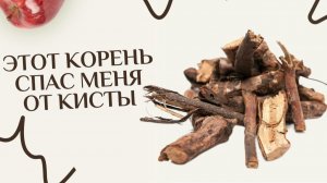 ЭТОТ КОРЕНЬ СПАС ОТ КИСТЫ